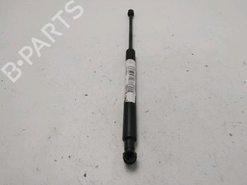 Tailgate lift support RENAULT TWINGO II (CN0_) 1.5 dCi (CN0E) | BP31278093C138