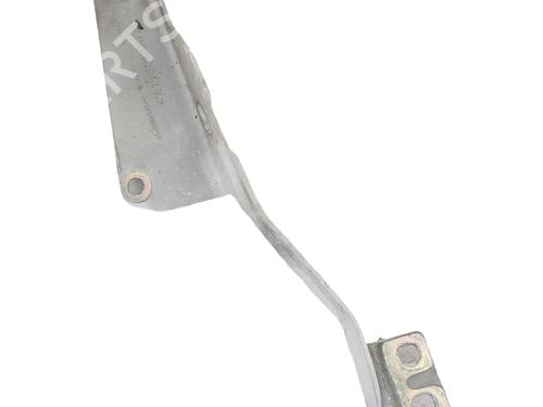 hingedoor-check-strap-renault-kangoo-express-fw01_-2008-39628072 main image