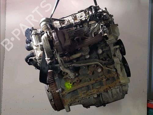 Used Engine Engine KIA VENGA (YN) 1.6 CRDi 115 (116 hp) 30955710 30955710