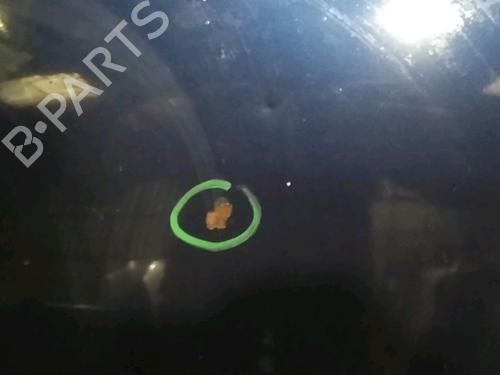 Hood VW TOURAN (1T1, 1T2) 1.9 TDI | BP16449875C1 