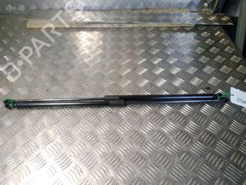 Used Tailgate lift support NISSAN JUKE (F15) 1.5 dCi (110 hp) 14902427