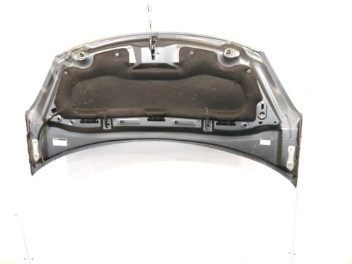 hood-citroen-c3-ii-sc_-2009-29155946 main image