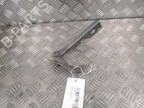 Used Hinge/Door check strap NISSAN PATHFINDER III (R51) 2.5 dCi 4WD (174 hp) 16209130