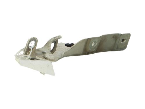 hingedoor-check-strap-citroen-c3-ii-sc_-2009-40026998 main image