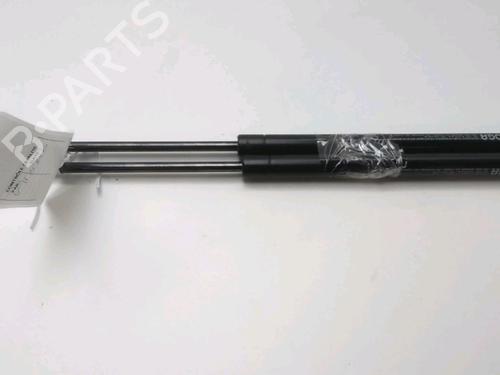 Used Tailgate lift support RENAULT CLIO III (BR0/1, CR0/1) 1.5 dCi (BR17, CR17) (86 hp) 17610352