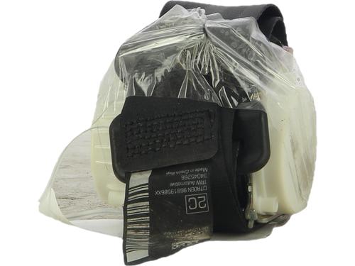 rear-center-seatbelt-citroen-c3-ii-sc_-2009-40484636 main image