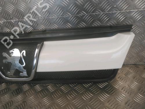 Grille PEUGEOT BOXER Van (244) 2.0 HDi | BP16742283C40