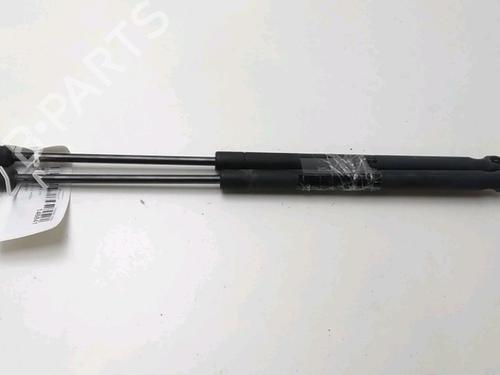 Used Tailgate lift support CITROËN C3 I (FC_, FN_) 1.4 HDi (68 hp) 17784324