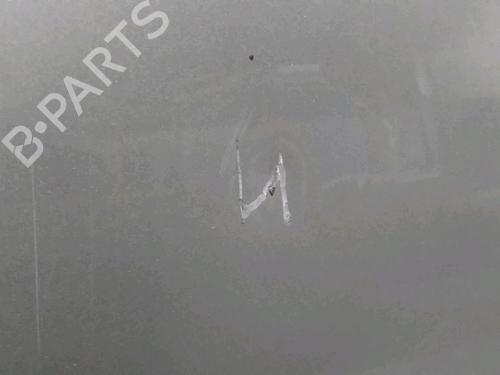 Hood RENAULT CLIO III (BR0/1, CR0/1) 1.5 dCi (C/BR0G, C/BR1G) | BP15100660C1