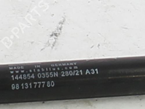 tailgate-lift-support-citroen-c3-iii-sx-2016-30825390 main image