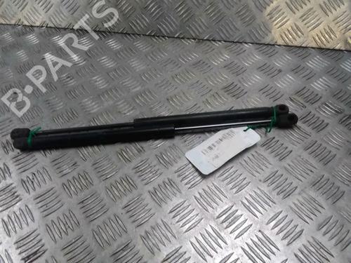 Used Tailgate lift support RENAULT MEGANE II (BM0/1_, CM0/1_) 1.9 dCi (BM0G, CM0G) (120 hp) 14902470