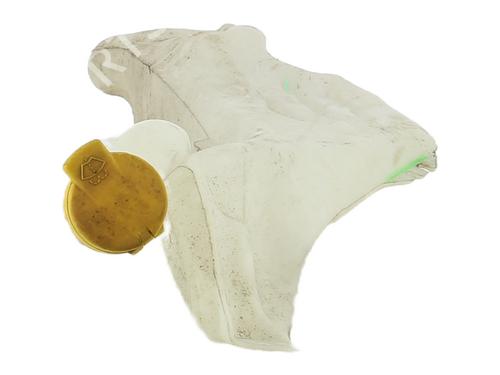 Sprinklertank RENAULT MEGANE IV Hatchback (B9A/M/N_) 1.6 TCe 205 (B9MV) | BP36486677C113 - Image 4