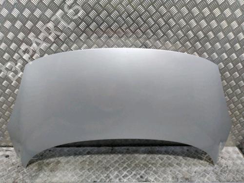 Used Hood RENAULT SCÉNIC III (JZ0/1_) 1.9 dCi (JZ0J, JZ1J, JZ1K, JZ1S) (131 hp) 17996975
