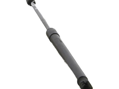 tailgate-lift-support-ford-fiesta-vi-cb1-ccn-2008-32038800 main image