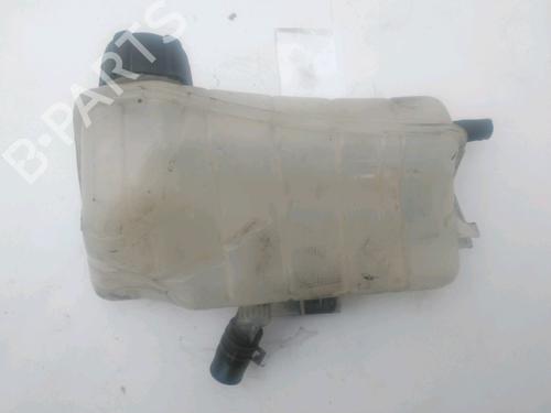 Expansion tank RENAULT KANGOO Express (FW0/1_) 1.5 dCi 90 (FW0G, FW05, FW08, FW11) | BP29494603C120 