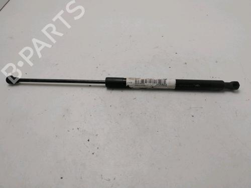 Tailgate lift support CITROËN C3 II (SC_) 1.2 VTi 82 | BP31278091C138 