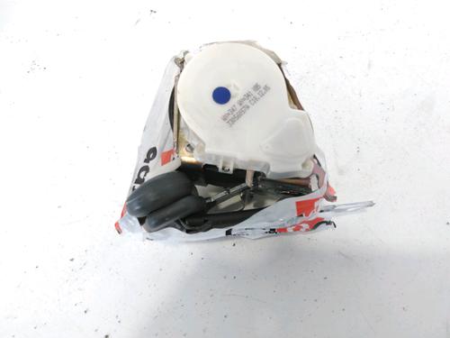 Used Rear left belt tensioner RENAULT CLIO III (BR0/1, CR0/1) 1.5 dCi (C/BR0G, C/BR1G) (68 hp) 30187959