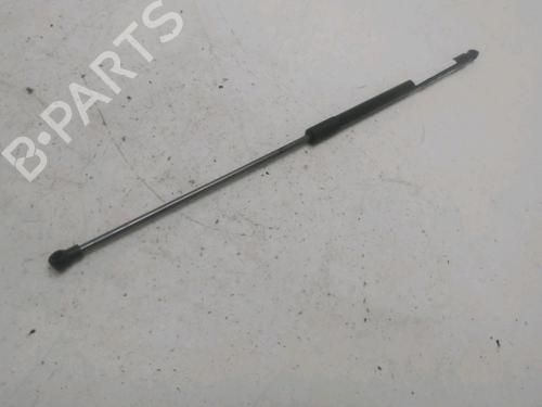 Used Tailgate lift support NISSAN JUKE (F15) 1.5 dCi (110 hp) 29622029