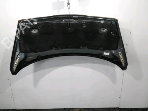 Capot Capot PEUGEOT 5008 (0U_, 0E_) 1.6 HDi (114 hp) 29155940 29155940