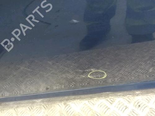 Left front door MERCEDES-BENZ B-CLASS Sports Tourer (W245) B 180 CDI (245.207) | BP17997021C2 