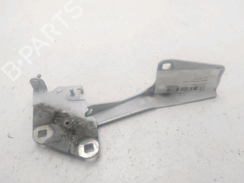 Used Hinge/Door check strap RENAULT MEGANE III Hatchback (BZ0/1_, B3_) 1.6 dCi (BZ00, BZ12, BZ13) (130 hp) 23934727