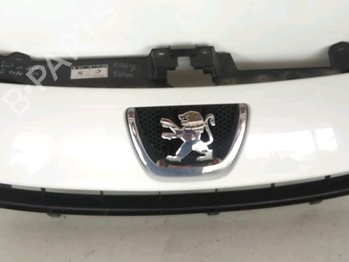 Used Grille Grille 37062399 37062399