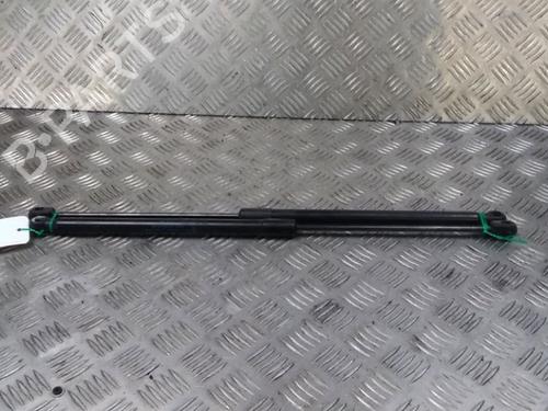 Tailgate lift support FORD FIESTA VI (CB1, CCN) 1.4 TDCi | BP14980727C138 