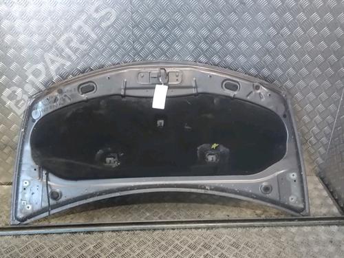 Hood RENAULT CLIO III (BR0/1, CR0/1) 1.5 dCi (C/BR0G, C/BR1G) | BP15723902C1 