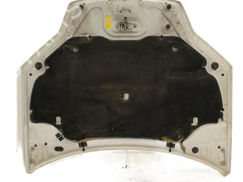 Used Hood RENAULT LAGUNA III Grandtour (KT0/1) 2.0 dCi (KT0M, KT0N, KT0S, KT19, KT1F) (173 hp) 30740552