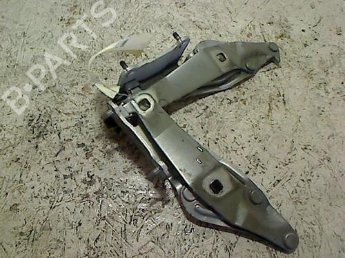 hingedoor-check-strap-renault-scenic-ii-jm01_-2003-2004-2005-2006-2007-2008-2009-2010-23181154 main image