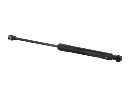 hood-lift-support-renault-kangoo-express-fw01_-2008-33971280 main image