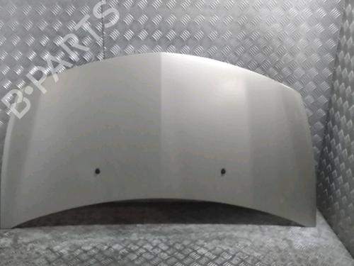 Used Hood RENAULT CLIO III (BR0/1, CR0/1) 1.2 16V (BR02, BR0J, BR11, CR02, CR0J, CR11) (75 hp) 14964124