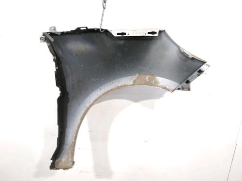 Used Left front fenders RENAULT SCÉNIC III (JZ0/1_) 1.5 dCi (110 hp) 29644306