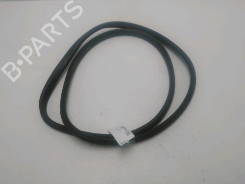 Used Rubber door seal RENAULT MEGANE III Hatchback (BZ0/1_, B3_) 1.5 dCi (106 hp) 24521179