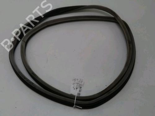 Gummilist RENAULT ESPACE IV (JK0/1_) 2.0 dCi (JK01, JK02, JK1J, JK1K, JK1H) (150 hp) 19025793