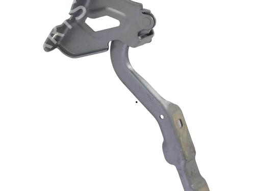 hingedoor-check-strap-smart-forfour-454-2004-2005-2006-35936296 main image