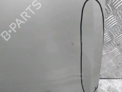 Hood RENAULT CLIO III (BR0/1, CR0/1) 1.5 dCi (C/BR0G, C/BR1G) | BP18066701C1 