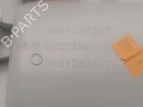 Plafoniera interna CITROËN C4 CACTUS 1.6 BlueHDi 100 (99 hp) 25279055