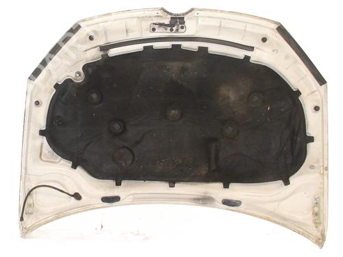 hood-vw-golf-vi-5k1-2008-2009-2010-2011-2012-2013-2014-31605773 main image