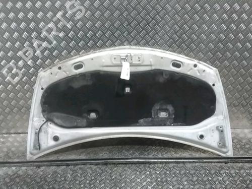 Hood RENAULT CLIO III (BR0/1, CR0/1) 1.5 dCi (C/BR0G, C/BR1G) | BP16487918C1 