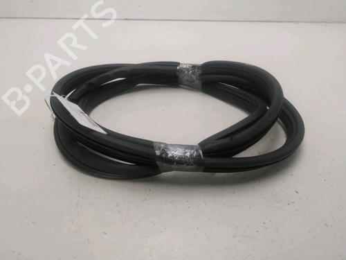 rubber-door-seal-renault-megane-ii-bm01_-cm01_-2001-2002-2003-2004-2005-2006-2007-2008-2009-2010-2011-2012-24882358 main image