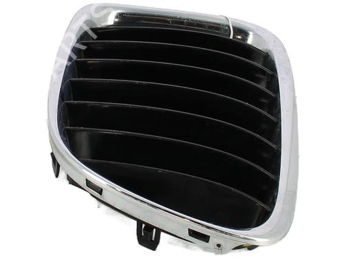 Grille BMW X1 (E84) sDrive 16 d | BP29819291C40
