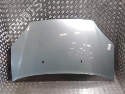 Panser FORD FOCUS C-MAX (DM2) 2.0 TDCi (133 hp) 13080819