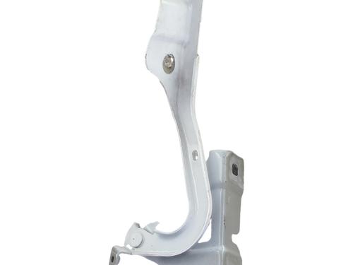 Used Hinge/Door check strap Hinge/Door check strap 38257125 38257125
