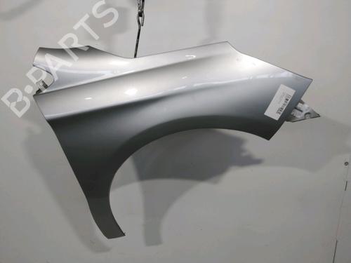 Left front fenders CITROËN C4 II (NC_) 1.6 HDi 90 | BP29759039C41 