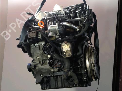 Engine AUDI A3 Sportback (8PA) 1.6 TDI | BP28033581M1 