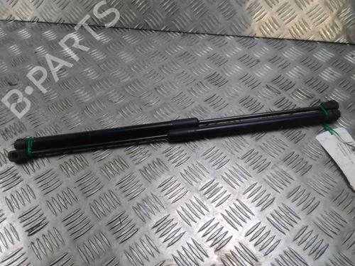 Used Tailgate lift support DACIA SANDERO 1.2 16V (75 hp) 14902483