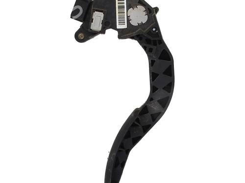 Used Pedal Pedal RENAULT SCÉNIC III (JZ0/1_) 1.5 dCi (110 hp) 33249273 33249273