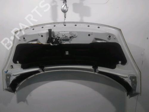 Used Hood RENAULT SCÉNIC III (JZ0/1_) 1.5 dCi (110 hp) 26917433
