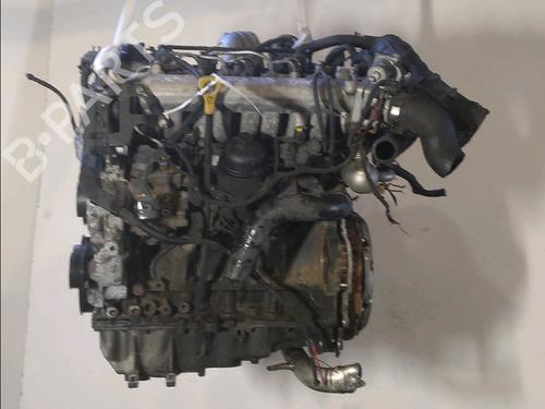 Engine KIA VENGA (YN) 1.6 CRDi 115 | BP29985556M1 - Image 3
